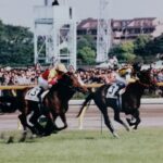 ［牝系図鑑］フサイチコンコルド、アンライバルドなど活躍馬多数。スタミナと瞬発力のバレークイーン牝系。