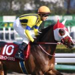ステイフーリッシュ - 競走中止を乗り越え、世界の舞台へ。ステイゴールド晩年の代表産駒として、常識を超え続けた国際派。