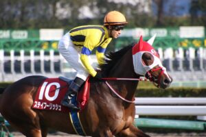 新品未使用 名馬 アクリルパネル ステイゴールド StayGold 競馬 競走馬 新品未使用 名馬 アクリルパネル ステイゴールド StayGold 競馬