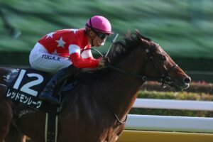 ［京王杯SC］ダノンスコーピオン、レッドモンレーヴらが激突する安田記念の前哨戦。 - 重賞プレビュー