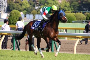 ［マーチS］絶好調の4歳世代が多数出走も、黄色信号！？ベテラン勢の逆襲はあるのか。 - 重賞プレビュー