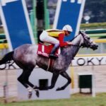 果敢な日本遠征と、優雅な重賞制覇。エアトゥーレやシルヴァーソニックらを輩出した牝系の祖となった外国馬、スキーパラダイス。