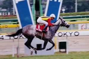 果敢な日本遠征と、優雅な重賞制覇。エアトゥーレやシルヴァーソニックらを輩出した牝系の祖となった外国馬、スキーパラダイス。