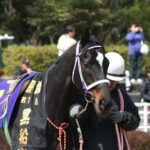 ［黒船賞］何度も惜敗を繰り返した遅咲きのダート馬、リバーセキトバ。第1回黒船賞で見せた、地元の意地がこもった激走を振り返る。