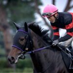エアグルーヴ、メジロドーベル、スペシャルウィーク、メジロライアンの血が流れる血統馬。フラワーC勝ち馬、ホウオウイクセル。