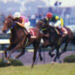 大衆も立ち向かいたくなる風格の予感。 - 2000年阪神大賞典