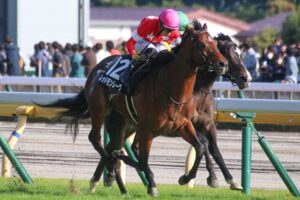 ［ダービー卿CT］難解な中山マイルのハンデ重賞。今年は豪華メンバーが集結！ - 重賞プレビュー