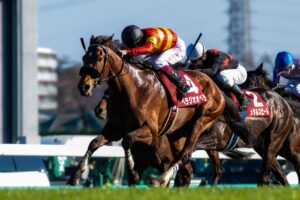 ［重賞回顧］タフなレースを乗り切った新星ベラジオオペラが、デビュー3連勝で本番の切符をゲット。～2023年・スプリングＳ～