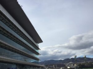 坂東“女”武者、情熱の一騎駆け。 - 2006年フィリーズレビュー・ダイワパッション