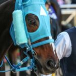 静寂に包まれた阪神競馬場で見せた、絶対王者オジュウチョウサン衝撃の走り。 - 2020年・阪神スプリングジャンプ