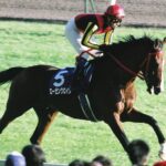 薔薇はたしかに咲いた。ローゼンクロイツと中京競馬場