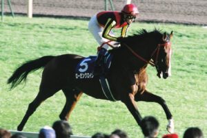 薔薇はたしかに咲いた。ローゼンクロイツと中京競馬場