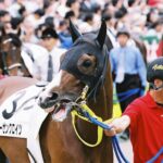 薔薇は、雨上がりに咲く。 - 2007年金鯱賞・ローゼンクロイツ