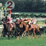 全21戦12勝の三冠馬、ナリタブライアン。その破壊力を一番感じさせた一戦を振り返る。 - 1994年スプリングステークス