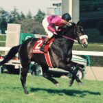 「制圧」を感じさせる「躍動」 - ナリタブライアンの1995年・阪神大賞典