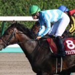 ［牝系図鑑］無敗の三冠牝馬デアリングタクトを輩出。圧倒的な機動力を下支えするスピードを持つデアリングダンジグ牝系。