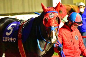 ［連載・馬主は語る］僕たちにできることはわずか（シーズン2-7）