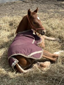 ［連載・クワイトファインプロジェクト］第26回 議論なき業界に発展なし