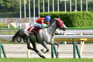 ［重賞回顧］ゴールドシップ産駒の偉大な先輩へと続く道のり　ゴールデンハインドが一気の逃げ切りで、女王への挑戦権を獲得～2023年・フローラＳ～