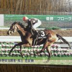 偶然の出会いから、新宿の居酒屋で"記憶の名馬"ステファニーチャンを思う。