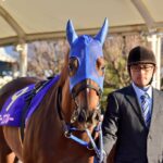 地方移籍で花開いた良血馬ラーゴブルー。 マリーンCで掴んだビッグタイトル