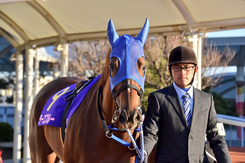 地方移籍で花開いた良血馬ラーゴブルー。 マリーンCで掴んだビッグタイトル