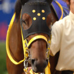 ［ニュースコラム］ワンカラットと藤岡佑介。ラストラン・オーシャンSで魅せた輝きを、いつの日か、再び