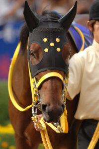 ［ニュースコラム］ワンカラットと藤岡佑介。ラストラン・オーシャンSで魅せた輝きを、いつの日か、再び