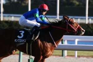 ［マイラーズC］京都競馬場の主な改修ポイントは？　新・京都競馬場、最初の重賞は白熱のマイル戦！ - 重賞プレビュー