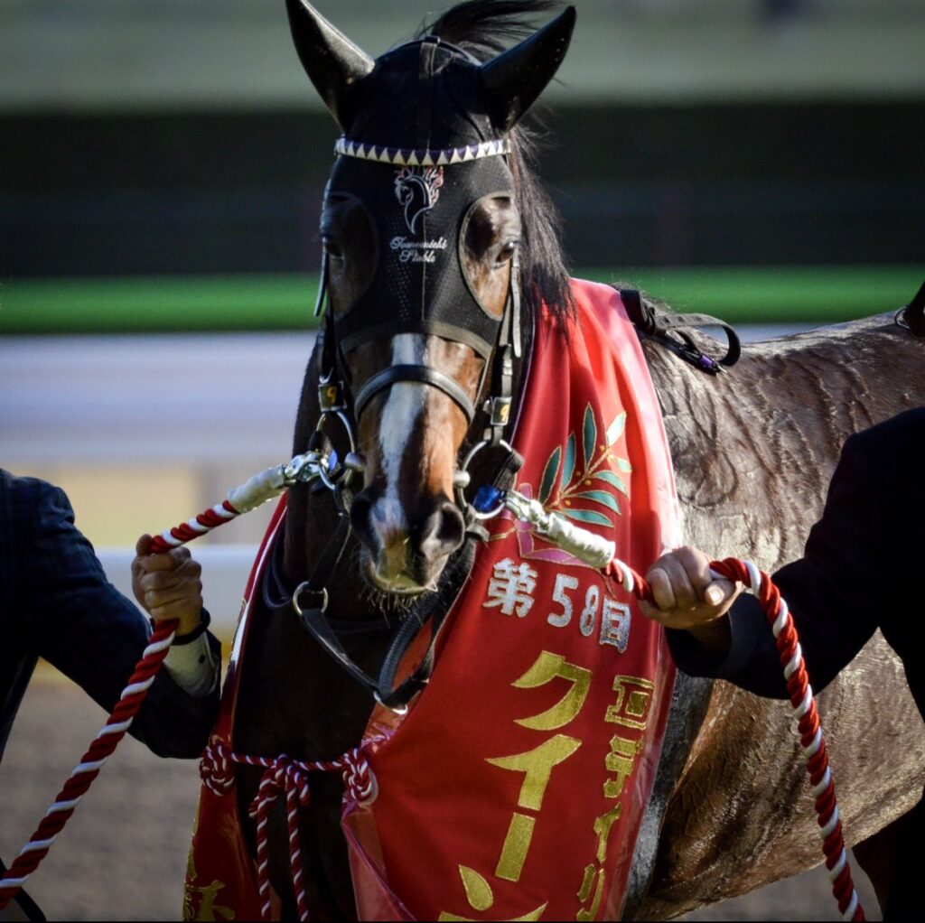 桜花賞］2歳女王リバティアイランドに挑む17頭の素質馬たち。2023年