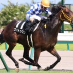 ［牝系図鑑］圧倒的な成長力を武器に抜群の切れ味。ジュエラーを輩出したバルドウィナ牝系。