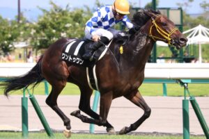 ［牝系図鑑］圧倒的な成長力を武器に抜群の切れ味。ジュエラーを輩出したバルドウィナ牝系。