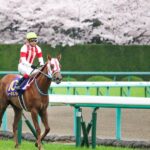 惜敗続きに終止符。涙なしでは語れない、レーヌミノルが制した2017年の桜花賞を振り返る。