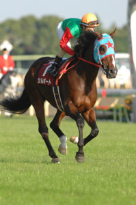 一撃必殺、侮るなかれ。重賞３勝、オープン特別２勝の実力派、シルポートの逃走劇。 | ウマフリ | 競馬コラム＆ニュース