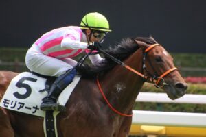 ［NHKマイルC］主役不在も楽しみなメンバーが集結。オオバンブルマイ、カルロヴェローチェ、モリアーナらが火花を散らすマイル戦。 - 重賞プレビュー