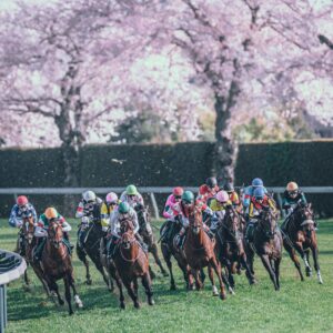 ［重賞回顧］待望の重賞制覇！G1に向けて素質馬が好発進。〜2023年・ダービー卿チャレンジトロフィー〜