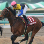 ［牝系図鑑］16年ダービー馬マカヒキの牝祖。パワーと高い操縦性を誇るリアルナンバー牝系。