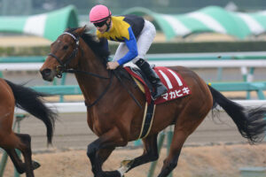 ［牝系図鑑］16年ダービー馬マカヒキの牝祖。パワーと高い操縦性を誇るリアルナンバー牝系。