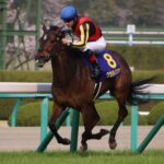 大歓声が迎えた、逆襲の桜花賞レコード - グランアレグリア