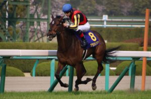 グランアレグリア サイン入り写真 桜花賞優勝記念プレミアム写真集○グランアレグリア