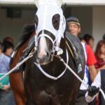 ［東京スプリント］リュウノユキナ - キッカケはとあるベテラン騎手との出会い。デビュー36戦目でようやく噛み締めた重賞の味。