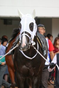 ［東京スプリント］リュウノユキナ - キッカケはとあるベテラン騎手との出会い。デビュー36戦目でようやく噛み締めた重賞の味。