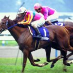 ［天皇賞・春］真夜中の戦士たち、覇王に挑む。