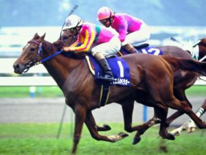 ［天皇賞・春］真夜中の戦士たち、覇王に挑む。