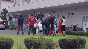 ［連載・馬主は語る］夏は牝馬（シーズン2-11）