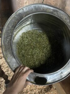 ［連載・馬主は語る］馬の食欲を増進させる６つの方法（シーズン2-14）