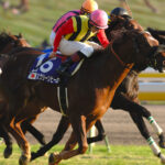 ［牝系図鑑］ダイナアクトレスからスクリーンヒーローへ。快速名優ぞろいなマジックゴディス牝系。