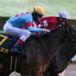 ［目黒記念］ダービーの余韻を楽しみながら…。注目のハンデ重賞にサリエラ、ヒートオンビートらが集結。 - 重賞プレビュー