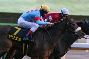 ［目黒記念］ダービーの余韻を楽しみながら…。注目のハンデ重賞にサリエラ、ヒートオンビートらが集結。 - 重賞プレビュー