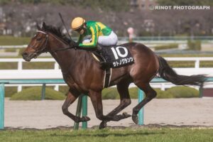 ［京都新聞杯］ダービーを目指す素質馬たちが激突。第二のキズナやロジャーバローズを目指す。 - 重賞プレビュー